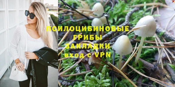 ешки Пестово