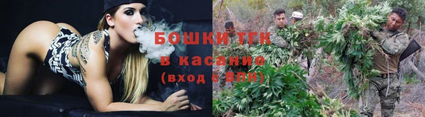 ешки Пестово