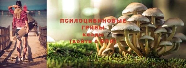 ешки Пестово