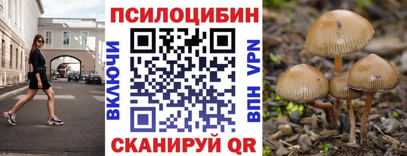 купить   Тутаев  Галлюциногенные грибы MAGIC MUSHROOMS 