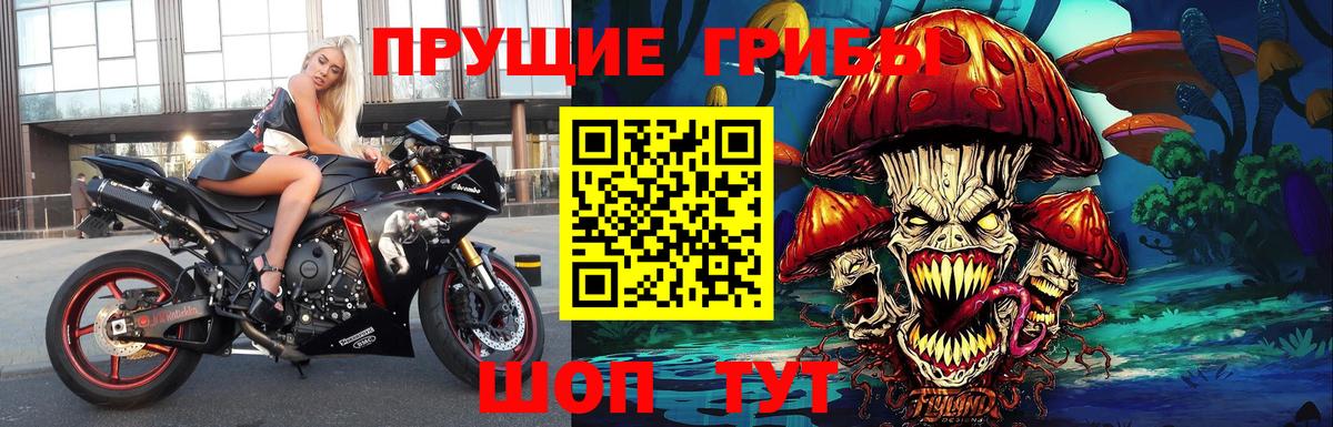 Галлюциногенные грибы Psilocybe  Псилоцибиновые грибы мухоморы  Вход с VPN  Тутаев 