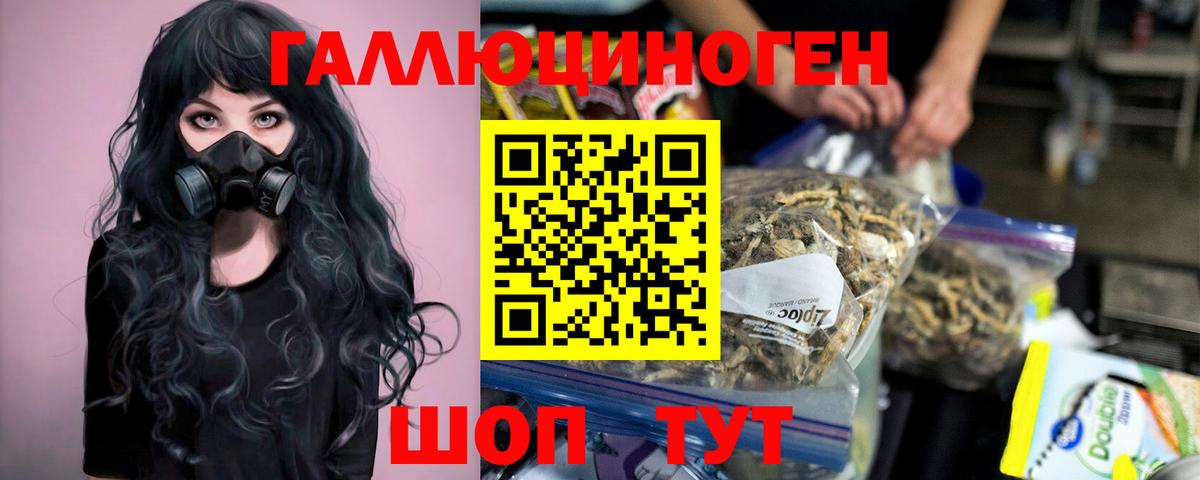 Гашиш Тутаев