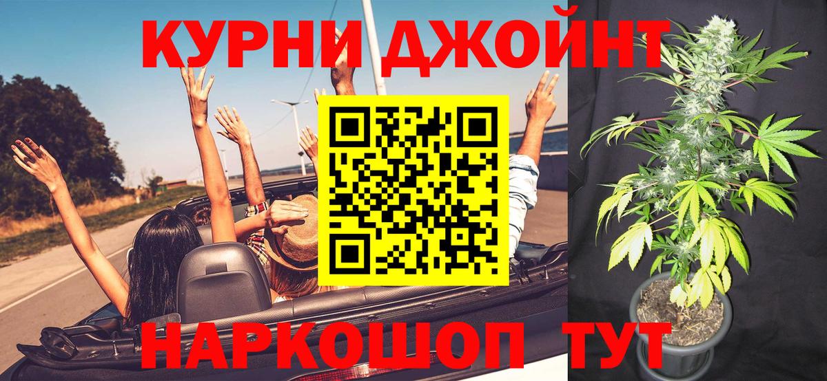 Конопля сатива Тутаев